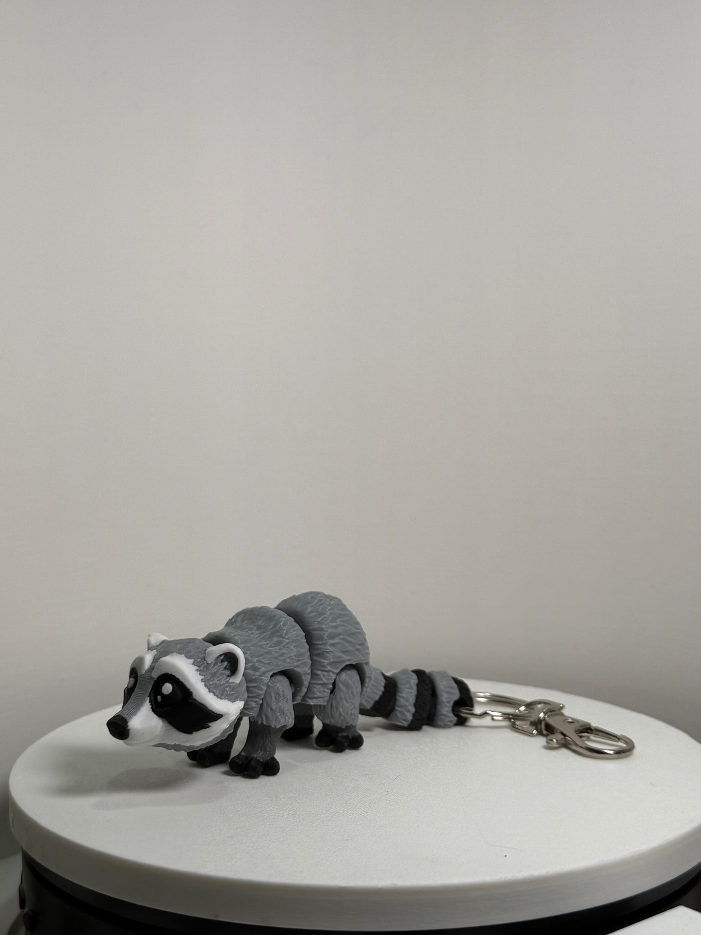 Raccoon