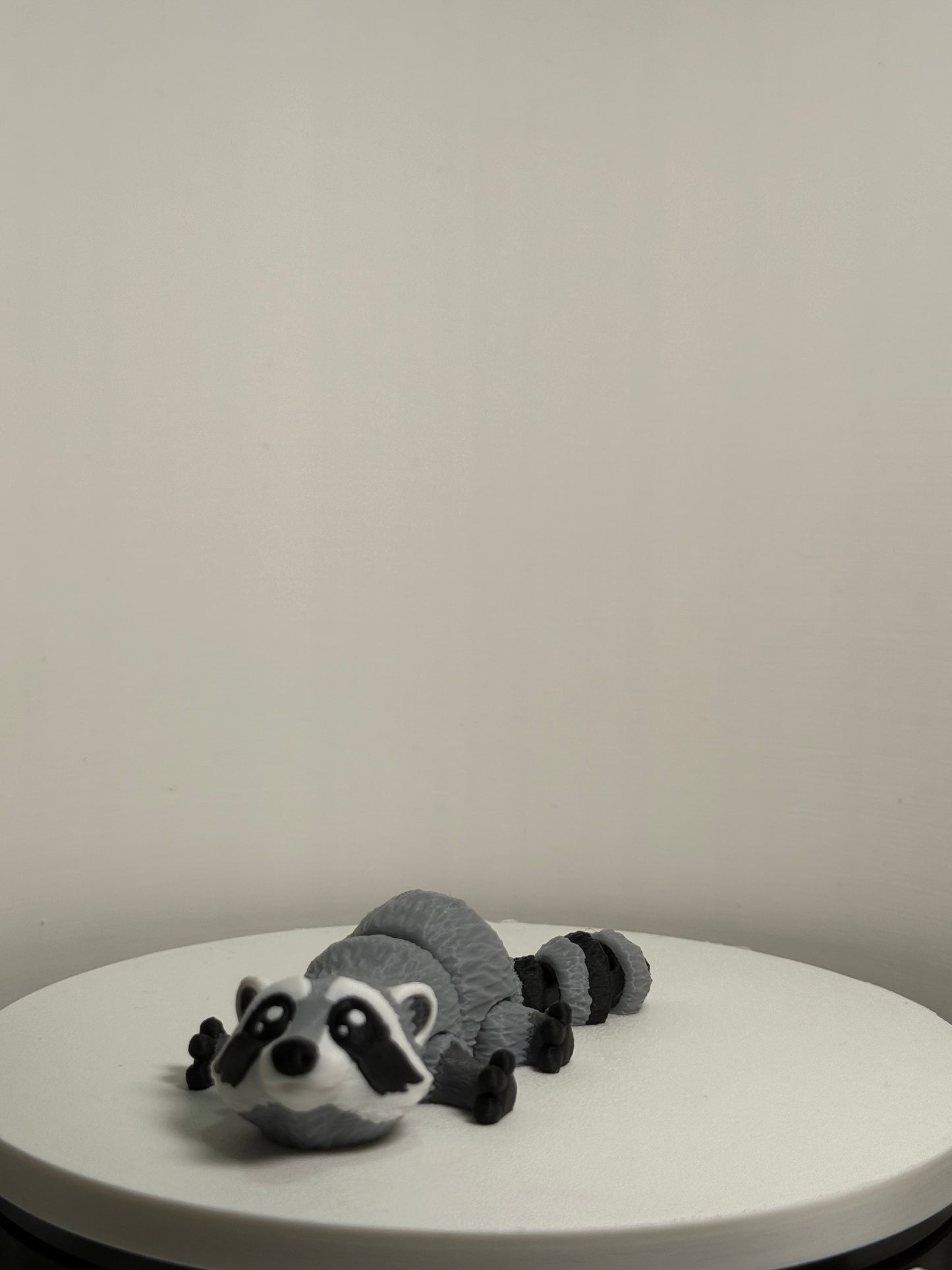 Raccoon
