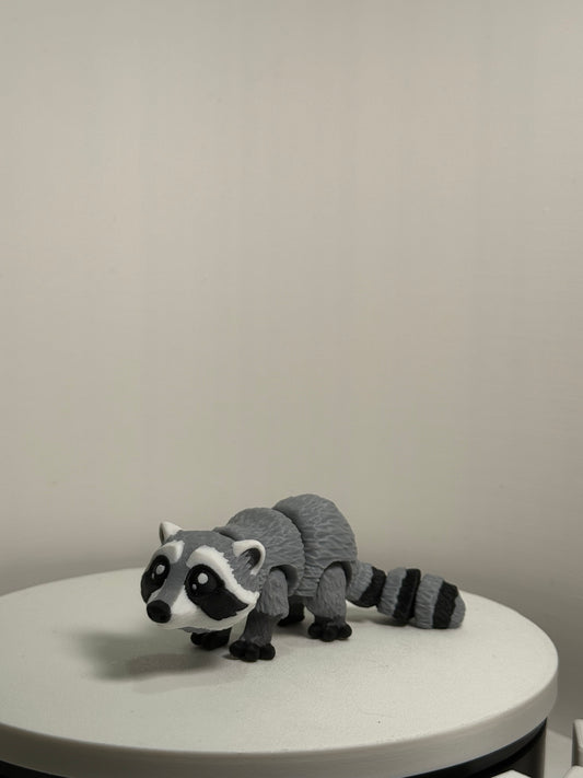 Raccoon