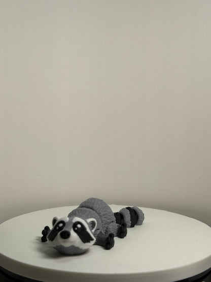 Raccoon