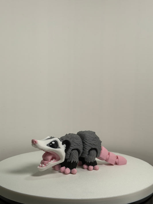 Opossum